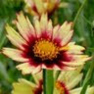 Meet your Posher, Kathryn